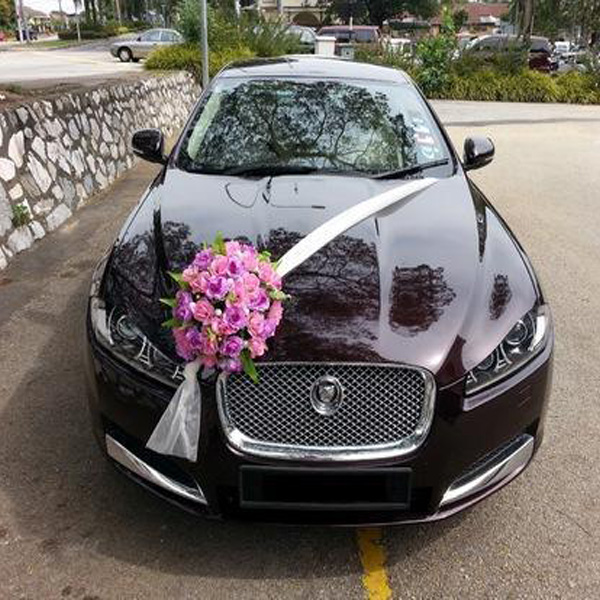 Luxury Wedding Cars  In Faridabad